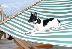 Click to View Our Poolside Hammocks