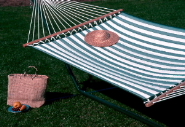 Click here for more details & color options